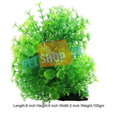 Ceratophylum Jungle Plant